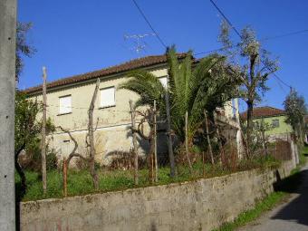 4 bedrooms  4000m2  land Coimbra